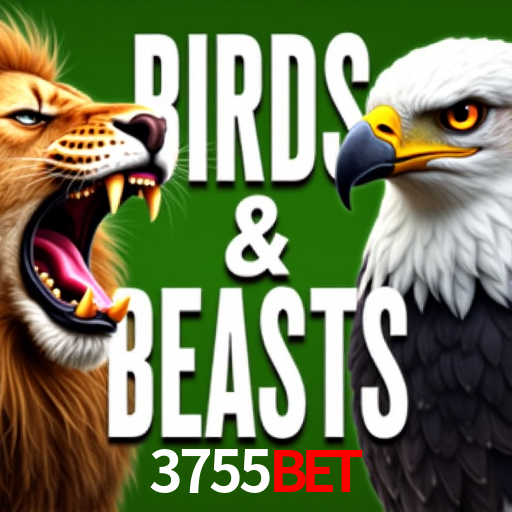 A Emoção da Loteria na 3755bet: Uma Chance de Mudança de Vida